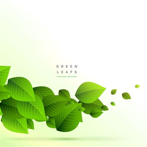 Green Leaves Background Green Leaves Vector Graphics To Download