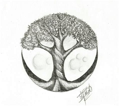 Contemporary Art Art Drawings The Tree Of Life Flickr