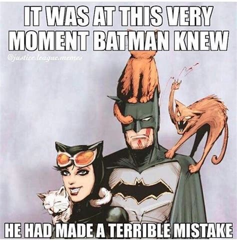 37 Funniest Batman And Catwoman Memes That Will Make You