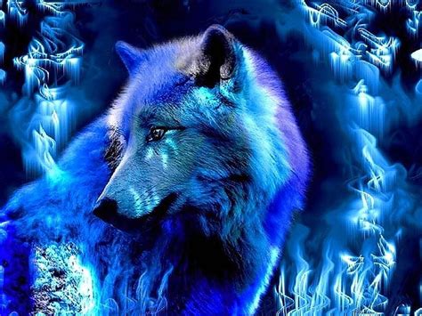 1366x768px 720p Free Download Dark Blue Wolf Dark Blue Wolf