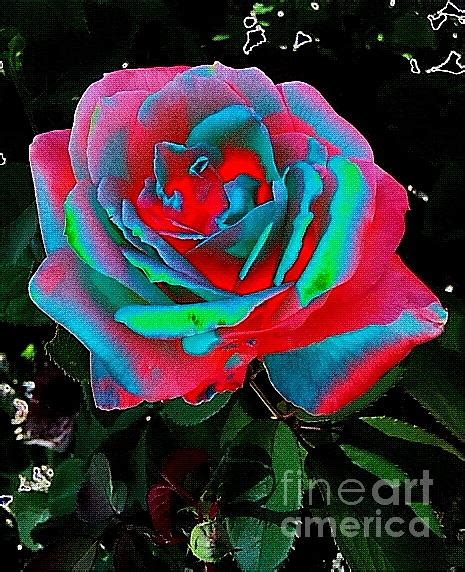 Psychedelic Rose Photograph By Kevin Oleson Pixels