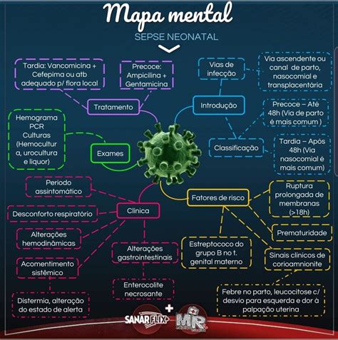 Mapa Mental Medicina Hot Sex Picture