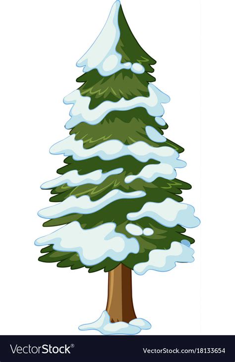 Pine Tree Covered With Snow Royalty Free Vector Image