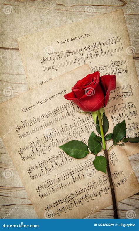 Red Rose Flower And Vintage Music Notes Sheet Stock Image Image Of
