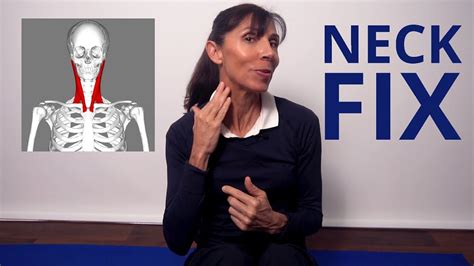 Physio Neck Strengthening Exercises For Neck Pain Beginners Youtube