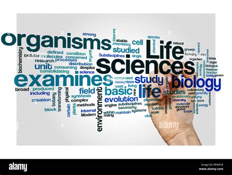 Life Sciences Biology Concept Background On White Stock Photo Alamy