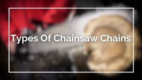Types Of Chainsaw Chains 2023 Updated Chainsawexperts