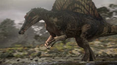 Spinosaurus Animal Of The World Wiki Fandom