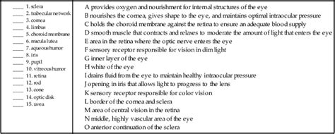 Eye And Adnexa Basicmedical Key