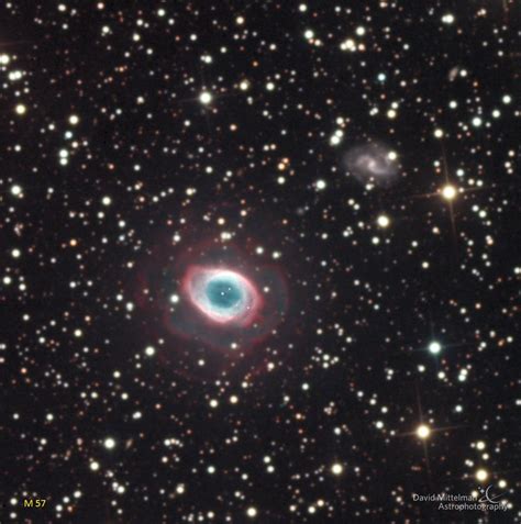 Ring Nebula David Mittelman Astrophotography