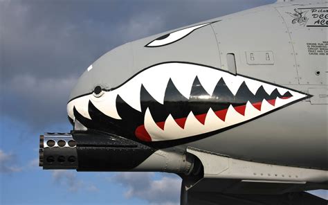 A 10 Warthog Shark Plane