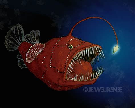 Jewel Renee Illustration Deep Sea Angler Fish Illustration
