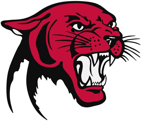 Download Panther Png Picture Hq Png Image Freepngimg