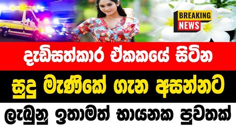 Hiru Sinhala Prince Chals Breaking News Here Is Special News Just