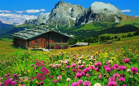 Download Field Green Wildflower Flower House Grass Mountain Photography