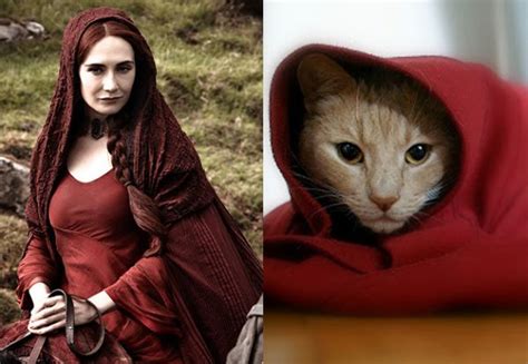 Game Of Thrones Characters As Cats Cats Cat Photo Funny Cats