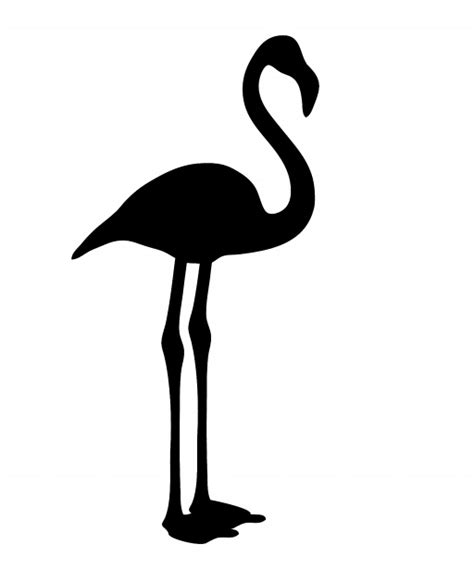 Flamingo Clipart Free Stock Photo Public Domain Pictures