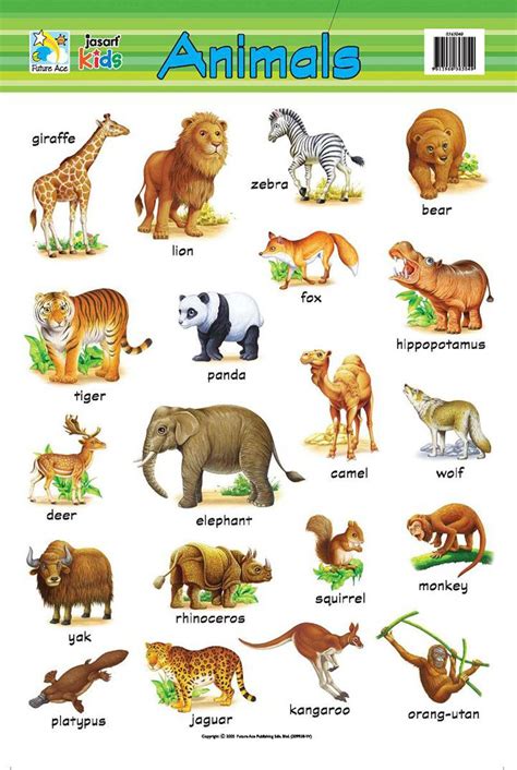 Animals Pictures For Kids Learning Image Download