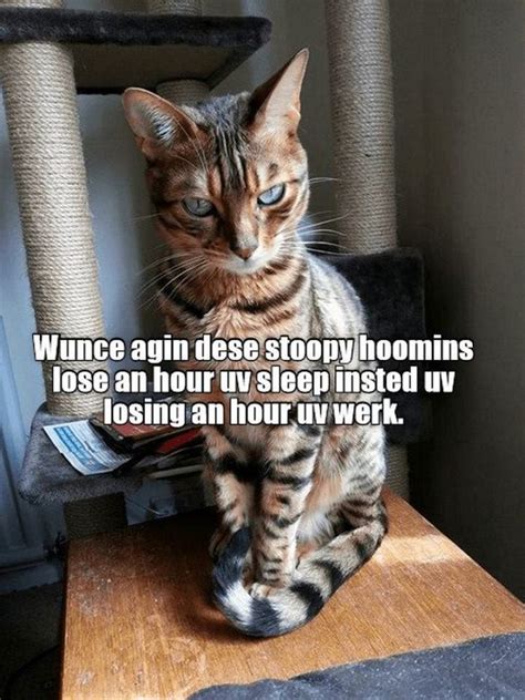 30 Funny Daylight Savings Memes To Spring Forward And Fall Back