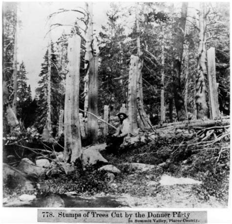 feb 2 1847 the first woman of a group of pioneers commonly known as the donner party dies