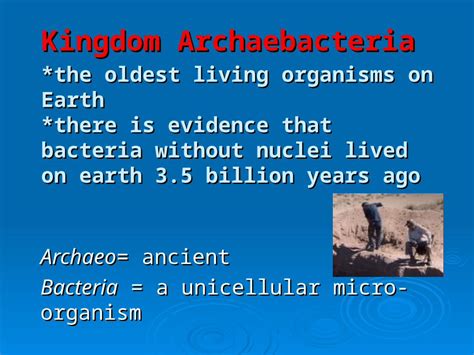 Ppt Kingdom Archaebacteria The Oldest Living Organisms On Earth