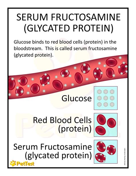 Diabetes Fructosamine Test Pros Cons Compared To A1c 46 Off