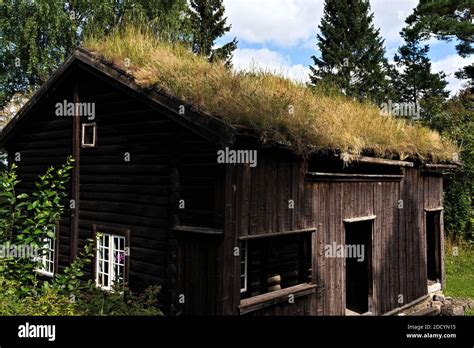 Old Medieval Farm House With Green Grass Turf Roof Stock Photo Alamy
