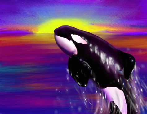 Keiko The Killer Whale Wallpaper The Lucky One By Corkyii On