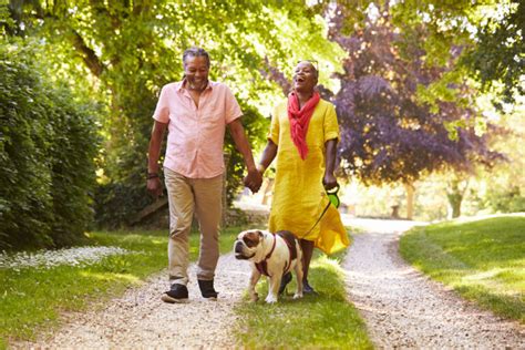 Best Pets For Seniors In Independent Living Crestwood Manor