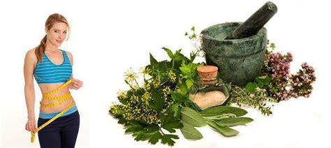 6 Herbs For Weight Loss The Woman Online