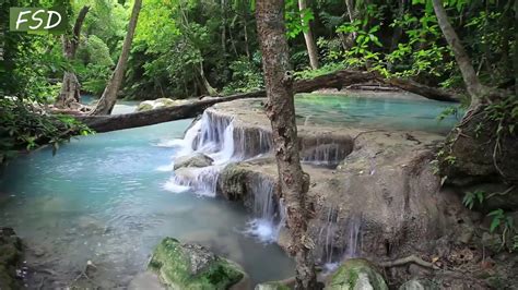 Waterfall And Jungle Sounds Beautiful Nature Sounds Relaxing Sleep