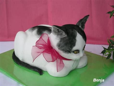 Black And White Cat Birthday Cake For Cat Kitten Cake Animal Cakes