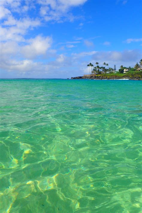 10 Of Oahus Best North Shore Beaches Swim Snorkel Surf — Deviating The Norm