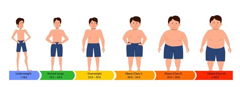 Categories With Body Mass Index Male Silhouettes With A Thick Normal And Slender Figure