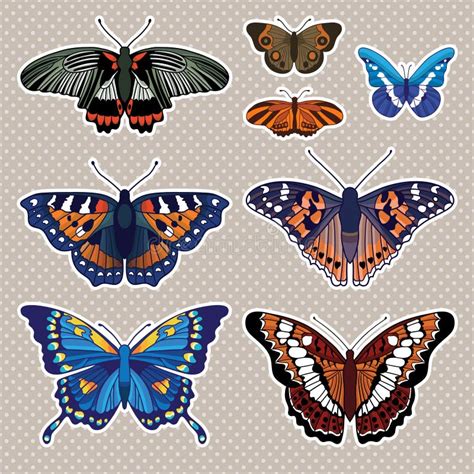 Vector Set With Isolated Butterflies Stock Vector Illustration Of