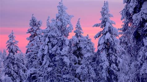 Download Snow Sky Sunset Nature Winter Hd Wallpaper