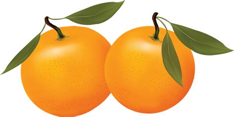 ® Colección De S ® Naranjas