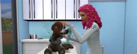 Diagnose Pets As A Veterinarian Tool Sims Online