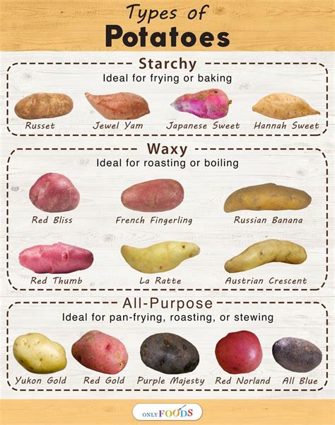 15 Different Types Of Potatoes With Pictures Types Of Potatoes Food