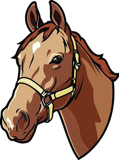 Horse Head Illustrations Royalty Free Vector Graphics And Clip Art Istock