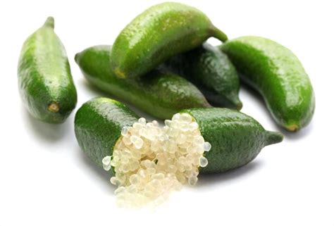 Australian Finger Lime Is An Exceptional Fruit That Comes From A Cousin Of The Lemon Tree Here