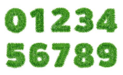 Premium Vector Collection Of Numbers In Green Grass