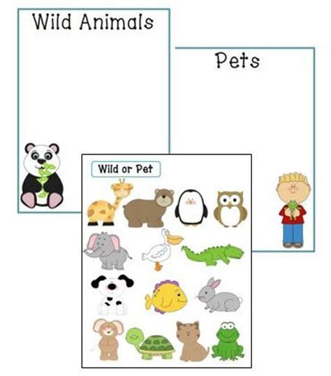Wild Animal Or Pet Sorting Game Etsy Animal Worksheets Animals