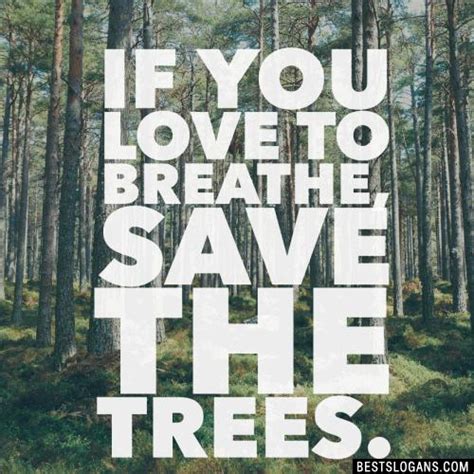 60 Amazing Save Trees Slogans In English For Kids And Adults Tree