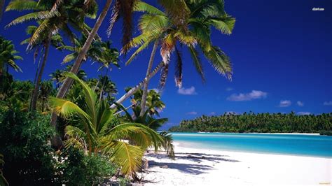 Pacific Island Wallpapers Top Free Pacific Island Backgrounds