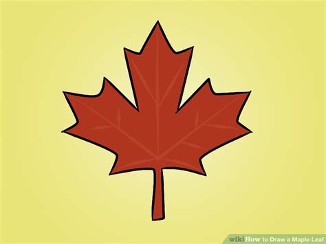 Learning how to draw a cartoon leaf helps kids increase their imagination, enhance their fine motor and coordination skills, and develop a healthy way of displaying their emotions. How to Draw a Maple Leaf: 12 Steps (with Pictures) - wikiHow