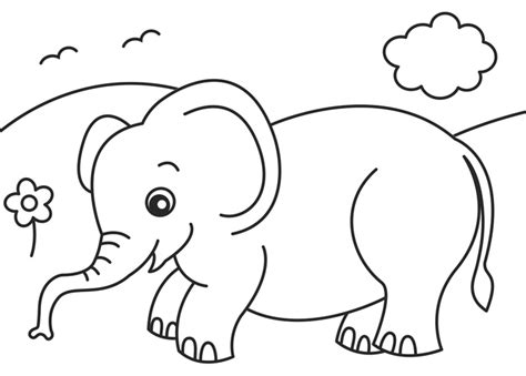 2o Awesome Jungle Coloring Pages