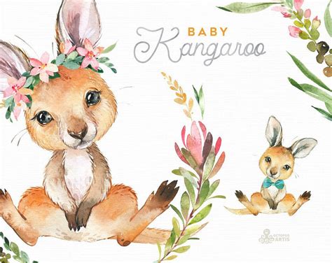 Baby Kangaroo Watercolor Little Animals Clipart Australia Etsy