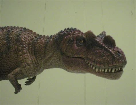 Ceratosaurus I Toy Dinosaur Toy Blog