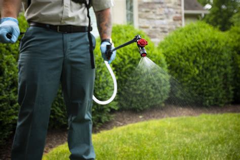 If you want to make your yard look beautiful and healthy at the same time, then the best way to do it is by using a liquid fertilizer. Beware of these Lawn Care Scams: Tips for Wise Homeowners in Allentown, Bethlehem, and Easton, PA